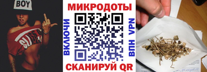 Псилоцибиновые грибы GOLDEN TEACHER  Апшеронск 